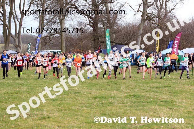 Girls Under-13s 2023 NEHL, Alnwick, Northumberland. Photo: David T. Hewitson/Sports for All Pics